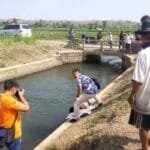 Img 20241004 Wa01191 715x400