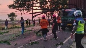 Kapolres Nganjuk Apresiasi Tindakan Cepat Polsek Sukomoro, BPBD dan Warga Atasi Patahan Pohon di Jalan Kedungsuko