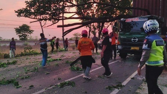 Mediacahayabaru.id Orbitnasional.com Bojonegorotimes.id 37
