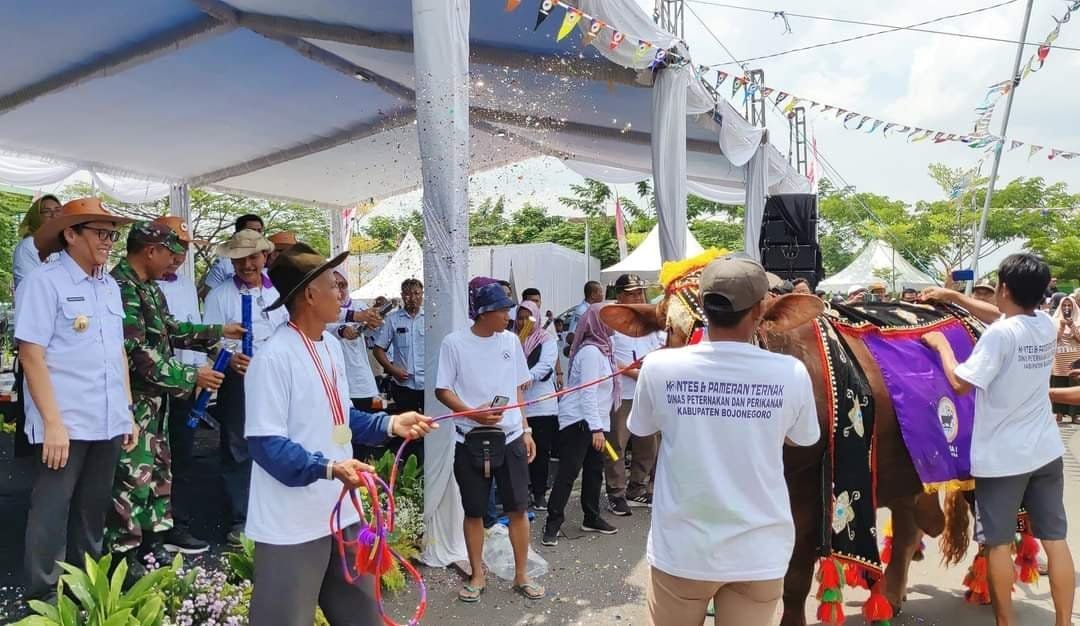 Fb Img 1732096195112