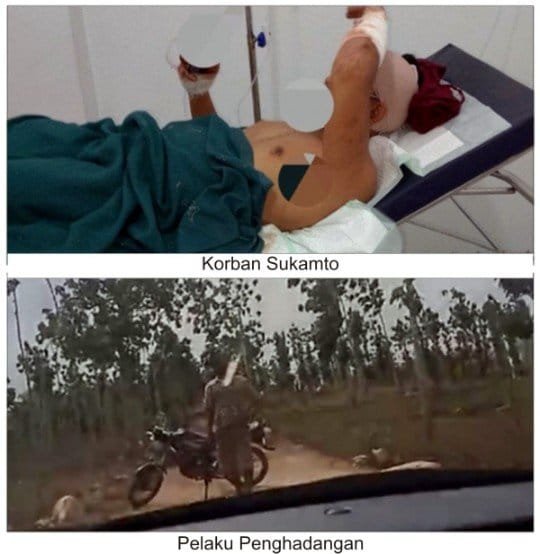 Ketua Umum PJI: Tangkap Eksekutor dan Dalang Percobaan Pembunuhan Jurnalis Di Tuban