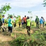 Mediacahayabaru.id Orbitnasional.com Bojonegorotimes.id 205