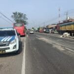 Mediacahayabaru.id Orbitnasional.com Bojonegorotimes.id 218