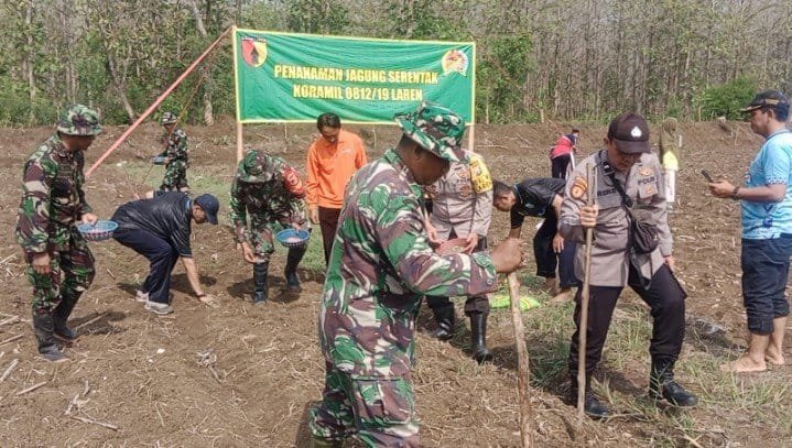 Wujudkan Ketahanan Pangan Dengan Program Kolaborasi, ini yang di lakukan Koramil Laren