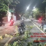 Mediacahayabaru.id Orbitnasional.com Bojonegorotimes.id 232