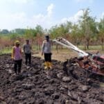 Mediacahayabaru.id Orbitnasional.com Bojonegorotimes.id 28