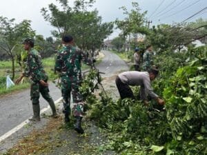 Pohon Tumbang Akibat Puting Beliung, Polisi di Bojonegoro Lakukan Evakuasi Cepat