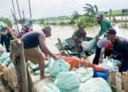 Dipimpin Oleh Danramil Kanor, Babinsa Kodim Bojonegoro dan Masyarakat Benahi Tanggul Jebol Sungai Rancang