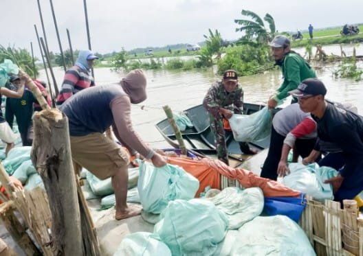 Mediacahayabaru.id Orbitnasional.com Bojonegorotimes.id Amunisinews.id 18