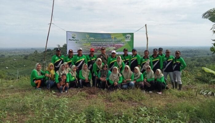 Perhutani Bojonegoro Gelar Gertak Tanam di Desa Tondomulo Kedungadem