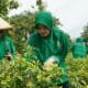 Mediacahayabaru.id Orbitnasional.com Bojonegorotimes.id Amunisinews.id 23