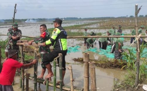 Mediacahayabaru.id Orbitnasional.com Bojonegorotimes.id Amunisinews.id 28