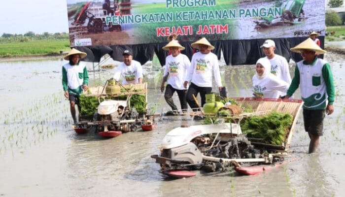 Gresik Kota Industri, Tapi Masih Memiliki Sekitar 39.000 Hektare Lahan Sawah