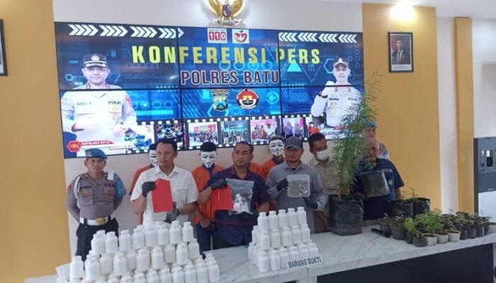 Budidaya Ganja Sudah Siap Panen, Pemuda Ini Ketahuan Polisi