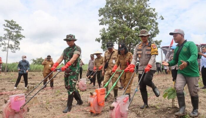 Penanaman Jagung serentak 1 juta Hektar di Desa Clebung Kecamatan Bubulan Bojonegoro