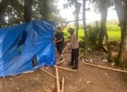 Polres Pamekasan Amankan 18 Orang di TKP Judi Sabung Ayam, 14 Orang Ditetapkan Tersangka