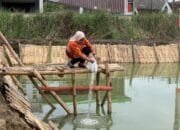 Pemkab dan Polres Bojonegoro Tabur 10.000 Benih Ikan di Kolam