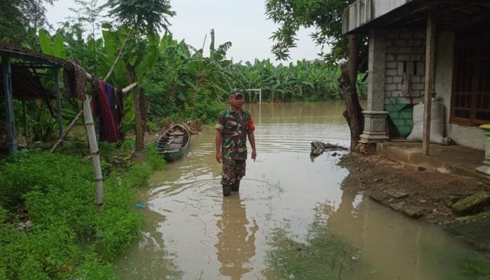 Babinsa Jajaran Kodim Lamongan Monitoring Bencana Banjir di Wilayah Binaan