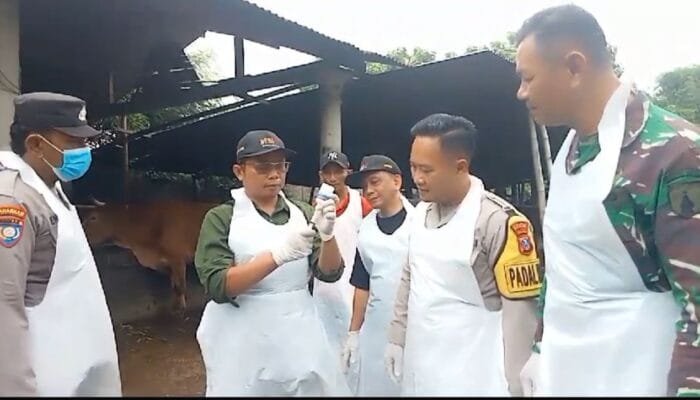 Kapolsek Ngasem Kawal Dinas Peternakan Kabupaten Kediri Untuk Vaksin Ternak