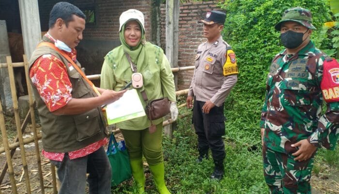 Personel Polsek Gampengrejo, Polres Kediri Dampingi Vaksin PMK