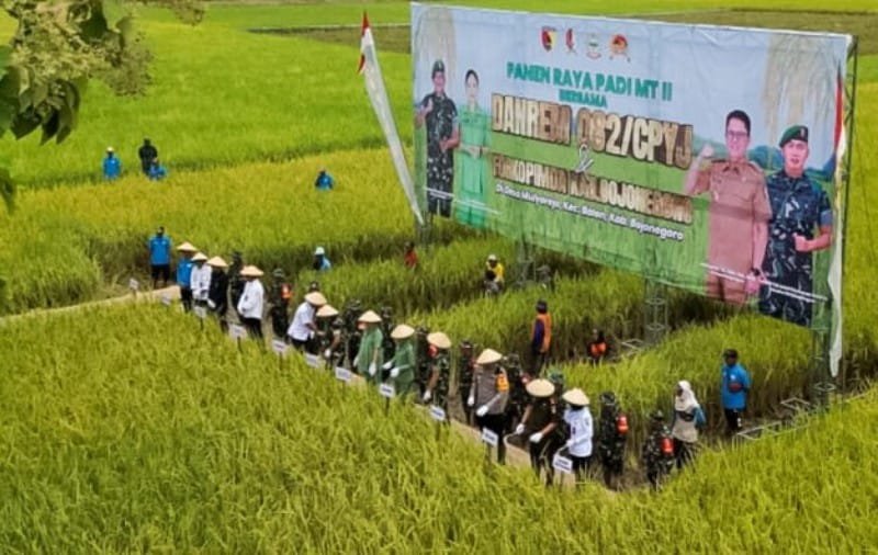Mediacahayabaru.id Orbitnasional.com Bojonegorotimes.id Amunisinews.id 175