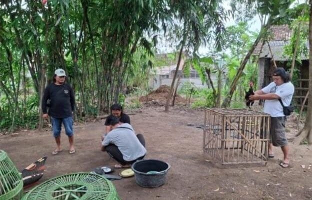 Polres Nganjuk Gerebek Lokasi Sabung Ayam di Baron