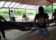 Polres Nganjuk Gerebek Lokasi Sabung Ayam di Lengkong, Pelaku Kabur