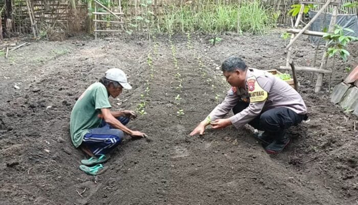 Bhabinkamtibmas Desa Senjayan Bersama Warga Manfaatkan Lahan Sela untuk Dukung Ketahanan Pangan