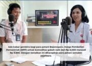 DKPP Bojonegoro: HPP Gabah Naik Menjadi Rp 6.500 Perkilogram