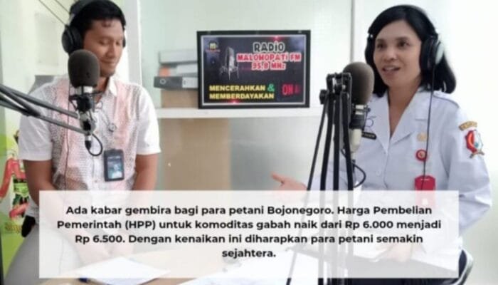 DKPP Bojonegoro: HPP Gabah Naik Menjadi Rp 6.500 Perkilogram