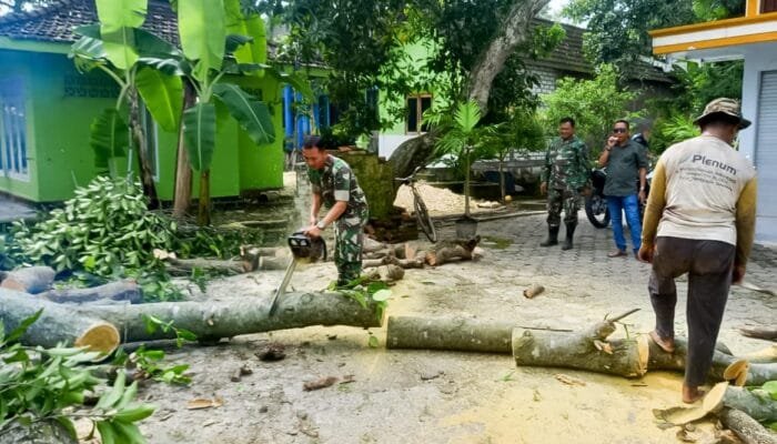 Babinsa Koramil Kanor Bojonegoro Bantu Evakuasi Pohon Roboh yang Menimpa Rumah Warga