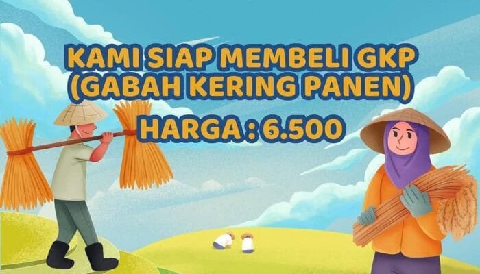 Perum Bulog Bojonegoro Jemput Bola Beli Gabah Langsung dari Petani, Besaran HPP Rp 6.500 Perkilogram
