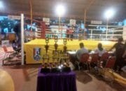 Tuban Jadi Juara Umum Kejuaraan Tarung Bebas Indonesia Piala Bupati