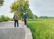 Desa Kedali Pucuk Lamongan Konsisten Perbaiki Infrastruktur