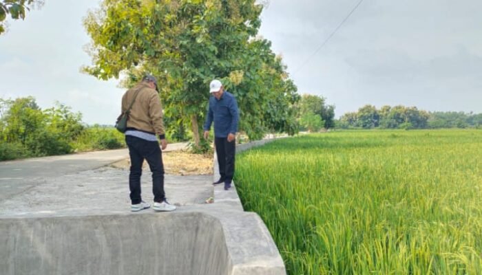 Desa Kedali Pucuk Lamongan Konsisten Perbaiki Infrastruktur