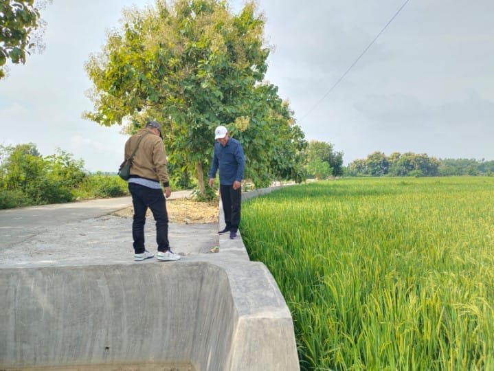 Desa Kedali Pucuk Lamongan Konsisten Perbaiki Infrastruktur Img 20250219 Wa0010