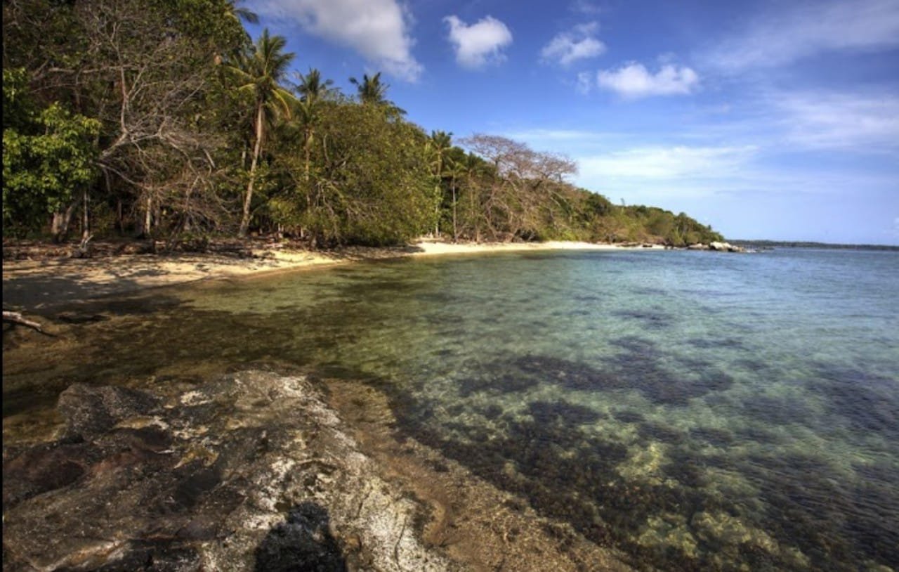 Menikmati Keindahan Pantai Batu Putih Karimunjawa: Destinasi Eksotis Yang Tak Terlupakan Img 20250222 Wa0083