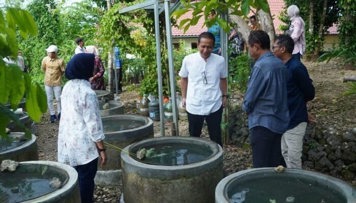 Program Inovatif Pemkab Bojonegoro Mengintegrasikan Buis Penampung Air Hujan Untuk Budidaya Ikan Konsumsi