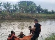 Tragedi di Sukosewu: Pria Ditemukan Meninggal Dunia di Aliran Irigasi Sungai Pacal