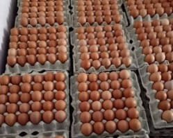 Harga Telur dan Bawang Putih di Bojonegoro Meroket, Emak-emak Menjerit