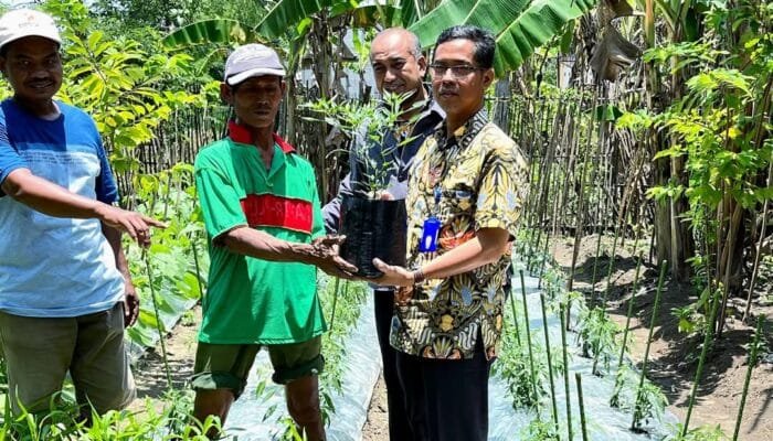 Pemkab Bojonegoro Tanam Harapan di Pekarangan Keluarga Miskin