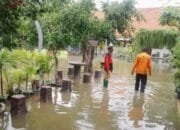 Lamongan Diterjang Banjir, Dua Desa Terendam