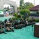 Img 20250312 Wa0062