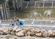 Proyek Rehabilitasi Perkuatan Tebing Jembatan Ngaglik Bojonegoro Retak, Ini Konsultannya