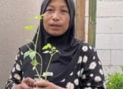 Bojonegoro Gerak Cepat, Bagikan Bibit Sayuran untuk Keluarga Kurang Mampu Img 20250321 wa0051