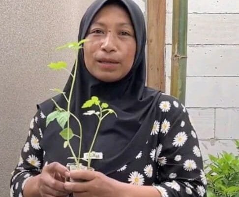 Bojonegoro Gerak Cepat, Bagikan Bibit Sayuran untuk Keluarga Kurang Mampu