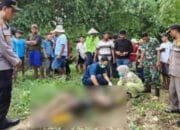 Kabar Duka dari Sungai Sidomulyo Lamongan: Pencari Ikan Ditemukan Tak Bernyawa