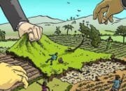 Petani Bojonegoro Gigit Jari, Janji Manis HPP Gabah Terbentur Birokrasi Bulog