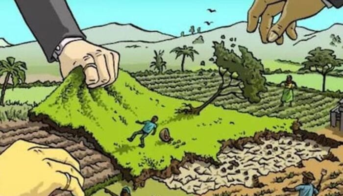 Petani Bojonegoro Gigit Jari, Janji Manis HPP Gabah Terbentur Birokrasi Bulog