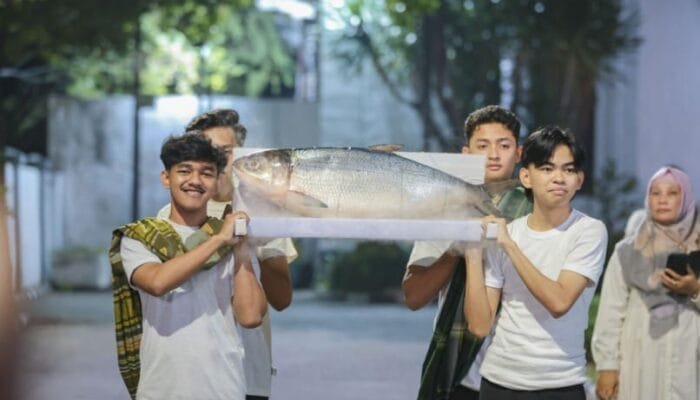Kontes Bandeng Kawak 2025: Merayakan Tradisi dan Mendorong Ekonomi Perikanan di Gresik